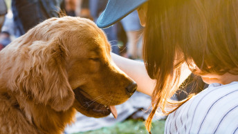 Dog and owner leaned in close together