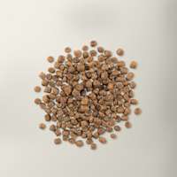 Now Fresh kitten food kibble