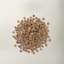 Now Fresh kitten food kibble