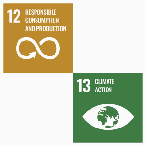 Sustainable Development Goals 12 and 13