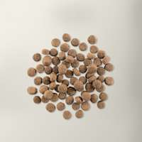 Now Fresh senior dog food kibble