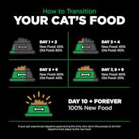 Transition your cat's food gradually over a 10-day period to avoid digestive upset