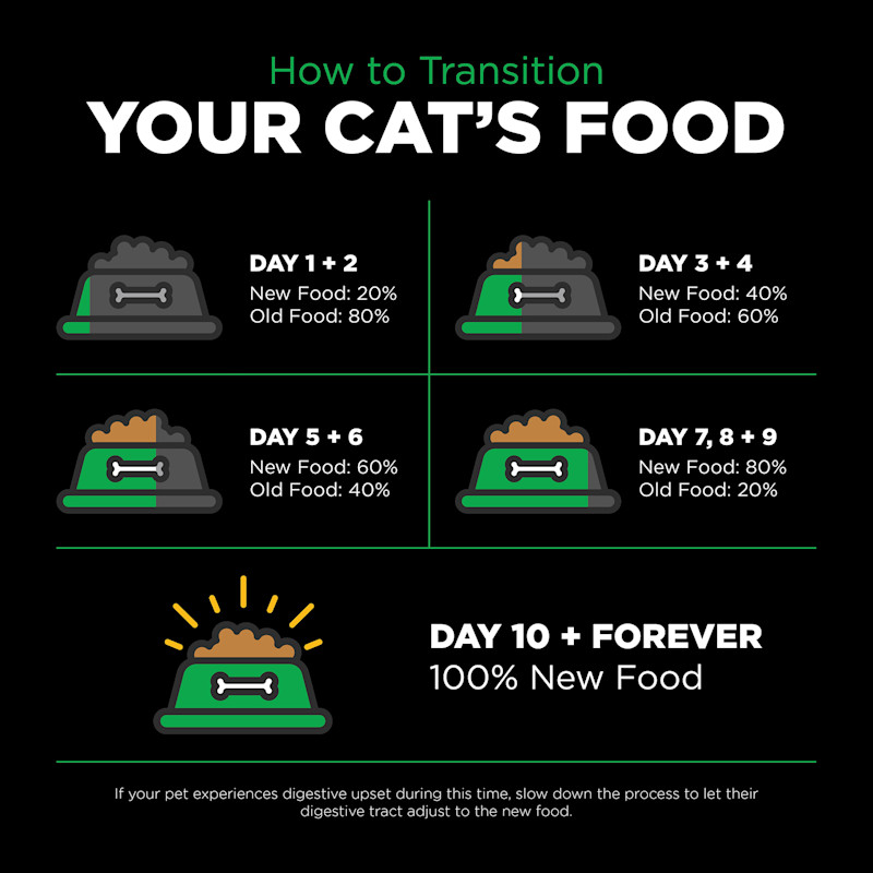 Transition your cat's food gradually over a 10-day period to avoid digestive upset