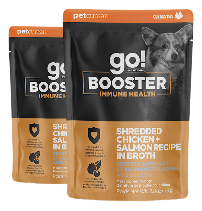 Go! Solutions Booster Immune Health Chicken + Salmon dog food topper