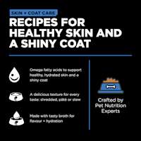 Recipes for healthy skin and a shiny coat