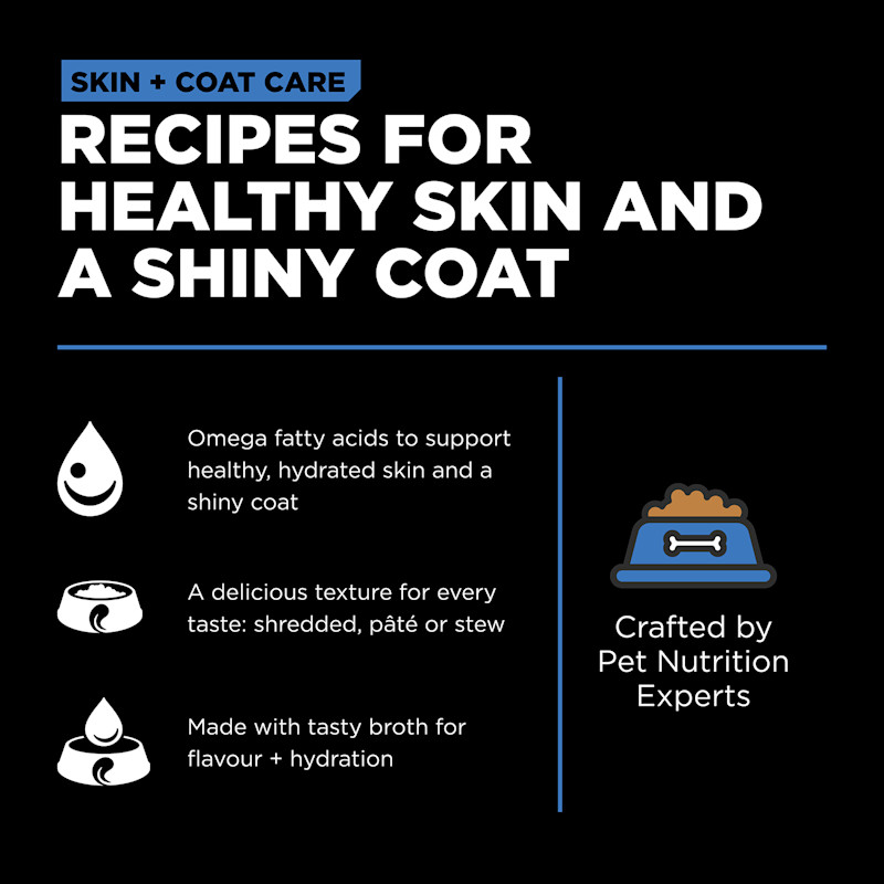 Recipes for healthy skin and a shiny coat