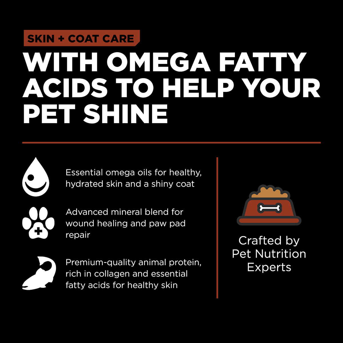 With omega fatty acids to help your pet shine