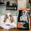 Cavalier King Charles Spaniel sitting at kitchen table with bowl of GO! SOLUTIONS SKIN + COAT CARE Salmon Recipe with Grains for Dogs dry food