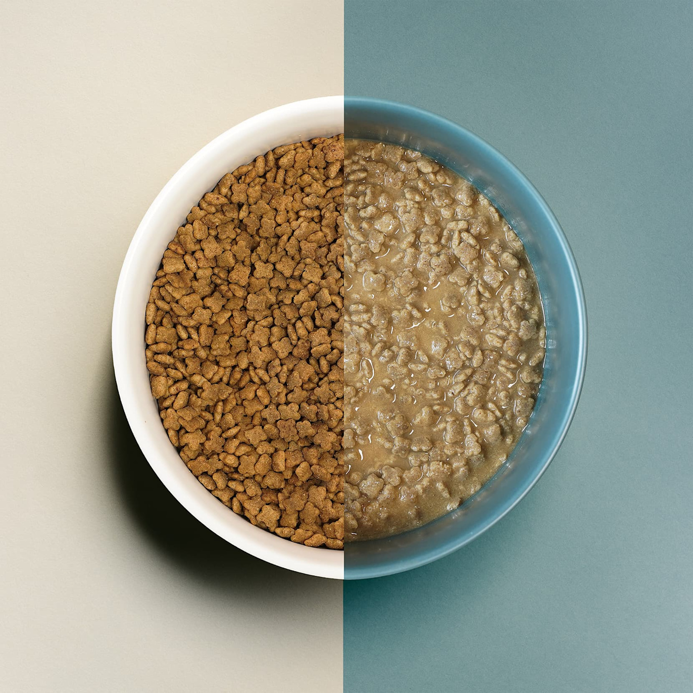 Pros and Cons of Putting Water in Kibble for Dogs | Now Fresh