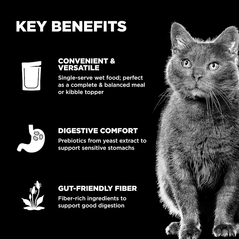 Convenient and versatile to serve, supports sensitive stomachs, and gut-friendly fibre-rich ingredients