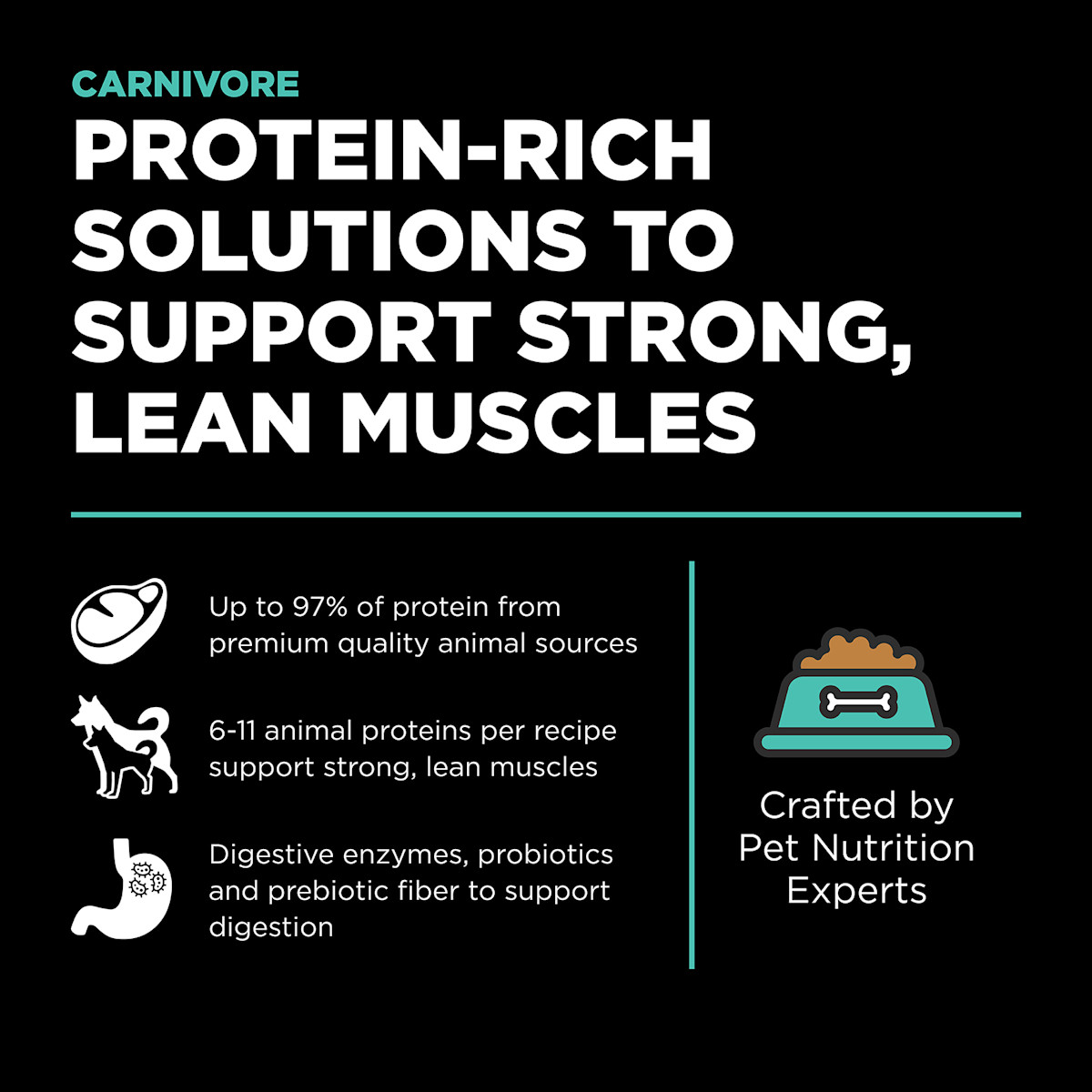 Protein-rich solutions to support strong, lean muscles