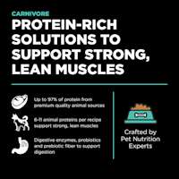 Protein-rich solutions to support strong, lean muscles