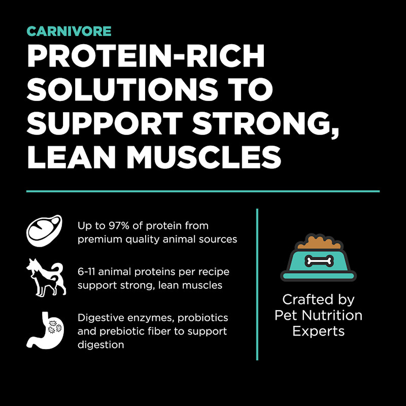 Protein-rich solutions to support strong, lean muscles