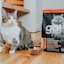 Cat with bowl of Go! Solutions Weight Management + Joint Care Salmon recipe kibble