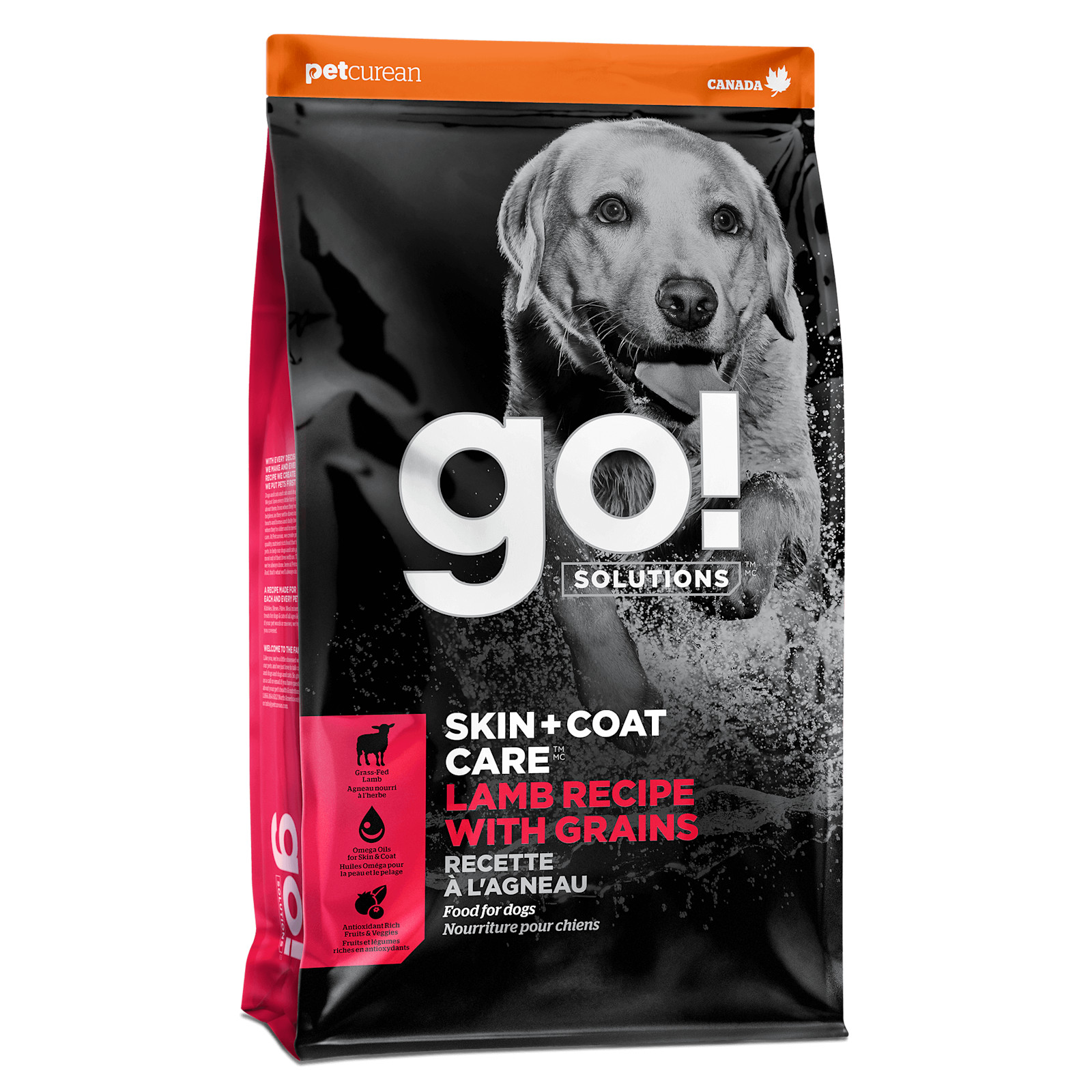 Food to make hot sale dog's coat shiny