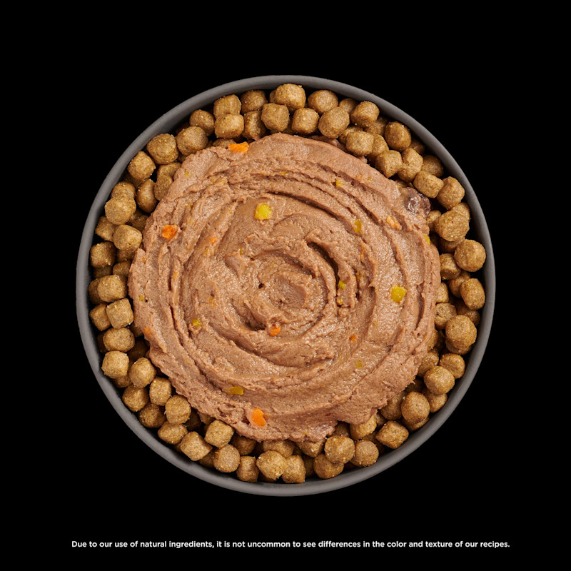 Go! Solutions Booster Immune Health Tuna Pâté food topper on kibble