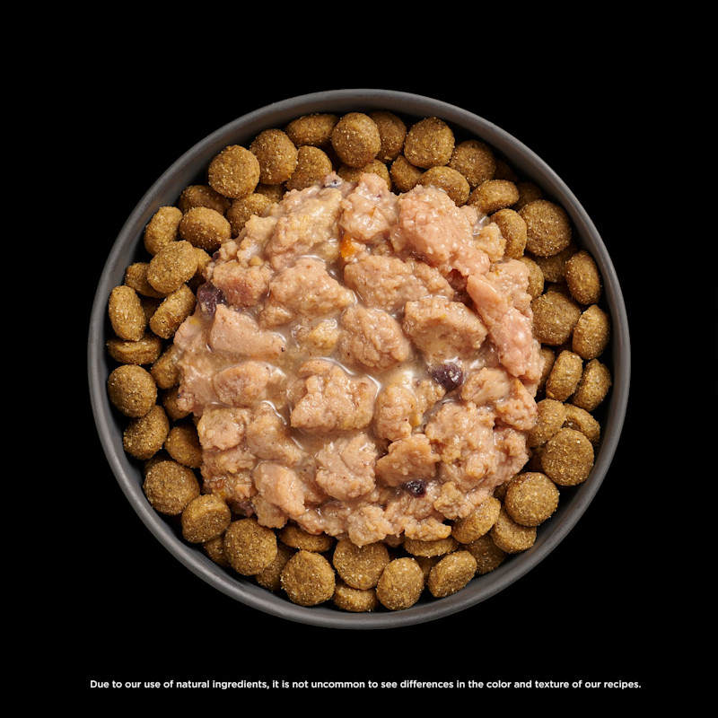 Go! Solutions Booster Immune Health Minced Chicken food topper and kibble