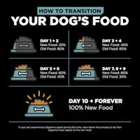 Transition your dog's food gradually over a 10-day period to avoid digestive upset