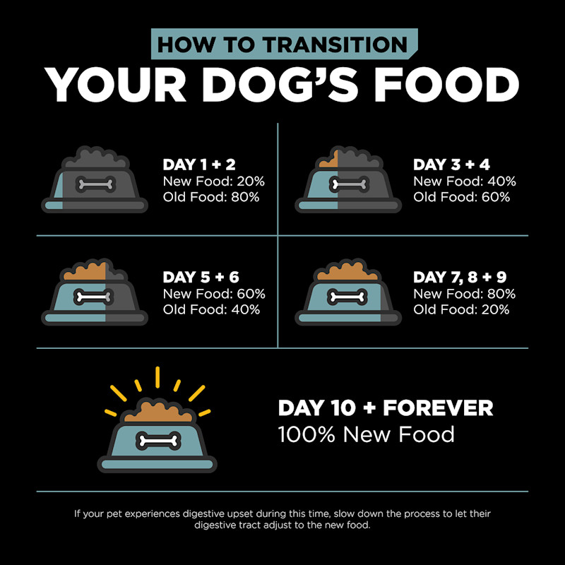 Transition your dog's food gradually over a 10-day period to avoid digestive upset