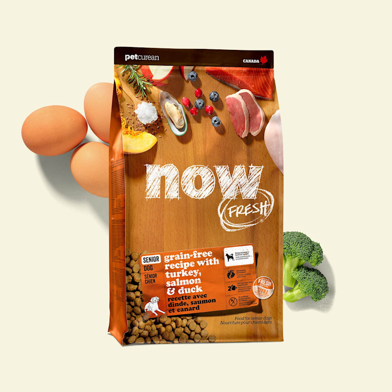 Now Fresh Recette Sans Grains Pour Chiens Seniors Now Fresh Recette Sans Grains Pour Chiens Seniors