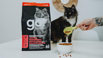 Black and white spotted cat being fed Go! Solutions Sensitivities kibble