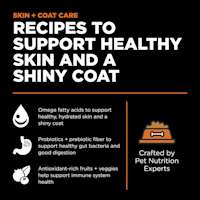 Recipes to support healthy skin and a shiny coat