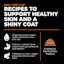 Recipes to support healthy skin and a shiny coat