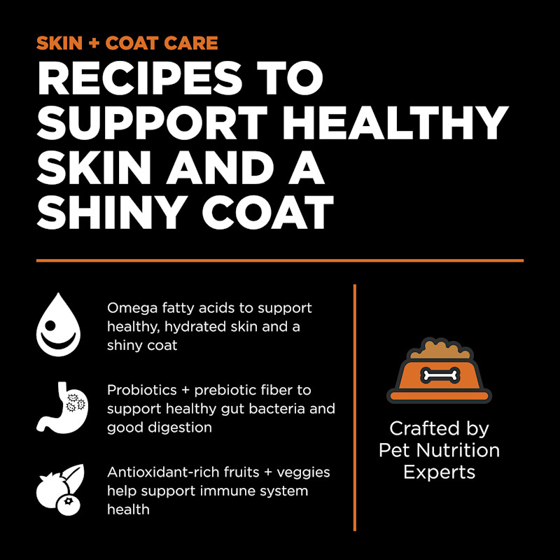 Recipes to support healthy skin and a shiny coat