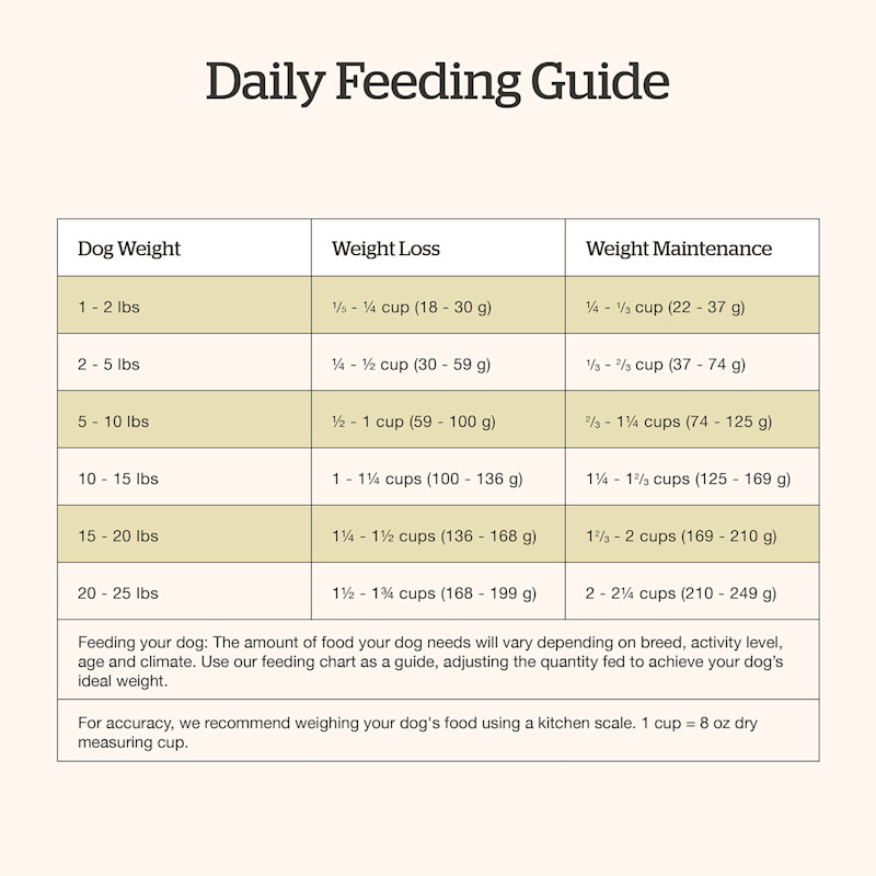 Now Fresh Good Gravy Small Breed Cage-Free Chicken Recipe dog food feeding guide