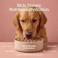 All the benefits of hydration: brain function, heart health, improved digestion and nutrient absorption, skin and coat health, urinary health