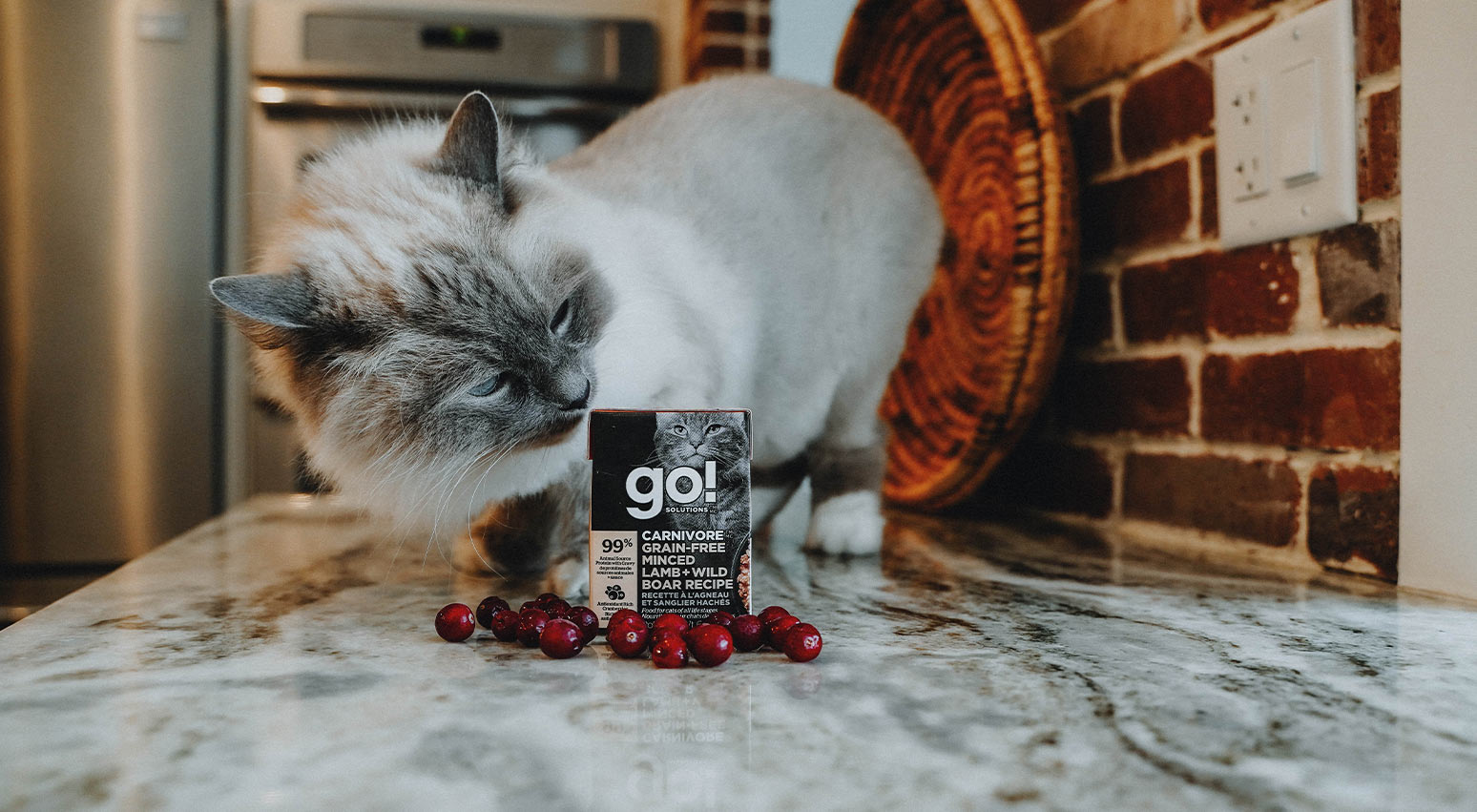 Cranberries safe for on sale cats