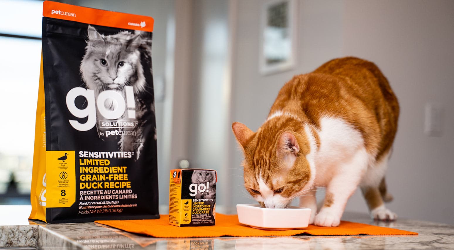 Which Food Is Best for My Cat? | Go! Solutions
