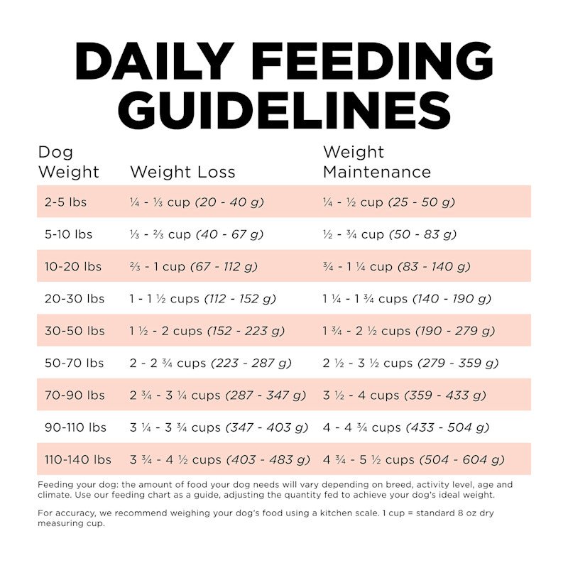 Go! Solutions Weight Management + Joint Care Grain-Free Salmon Recipe dog food feeding guidelines