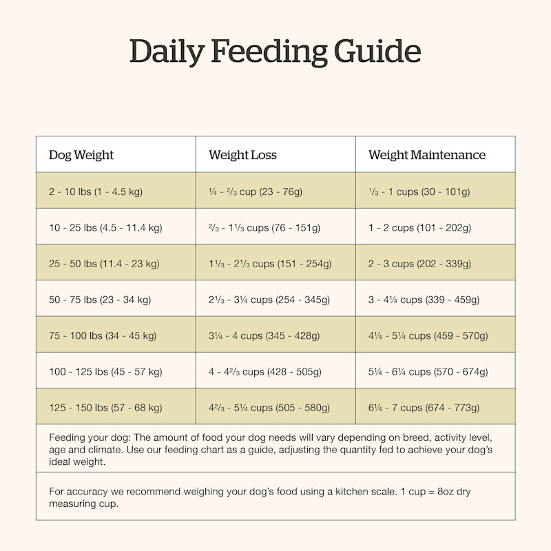 Now Fresh Good Gravy Beef Recipe for Adults dog food feeding guide