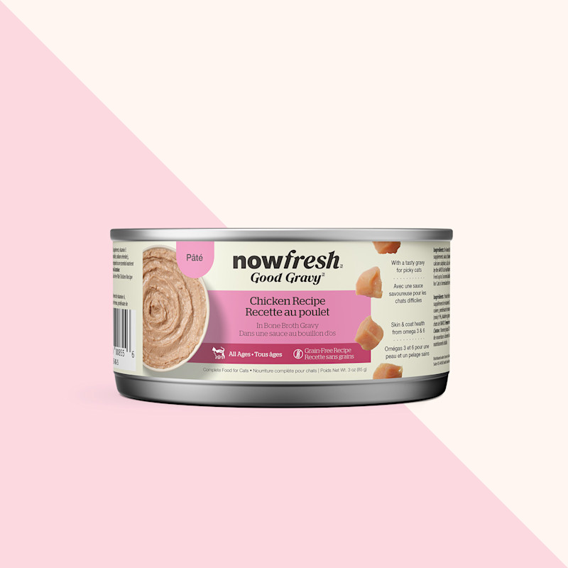 Nourriture humide pour chats Good Gravy de Now Fresh, recette au poulet