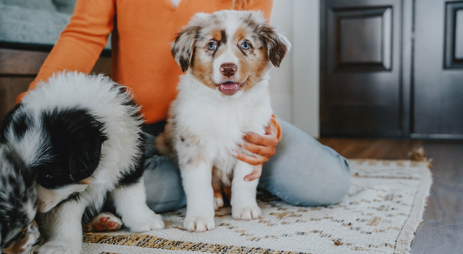 Puppy bad best sale breath while teething