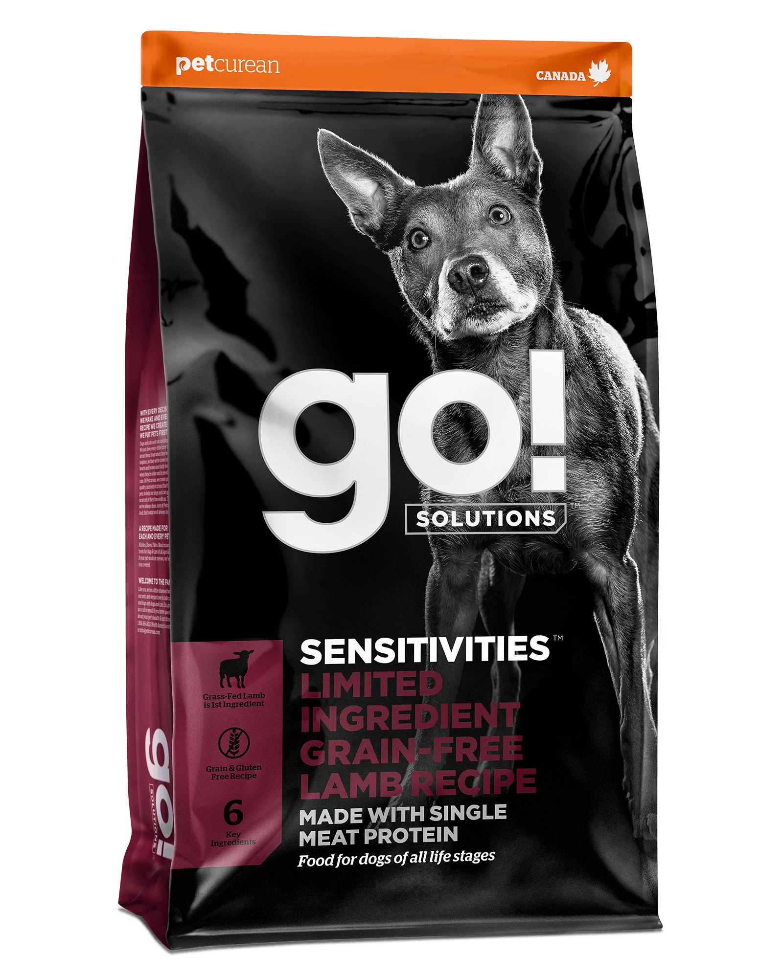 Go! Solutions Sensitivities Limited Ingredient Grain-Free Salmon Recipe for  Dogs