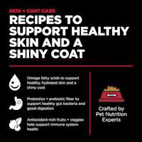 Recipes to support healthy skin and a shiny coat