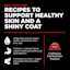 Recipes to support healthy skin and a shiny coat