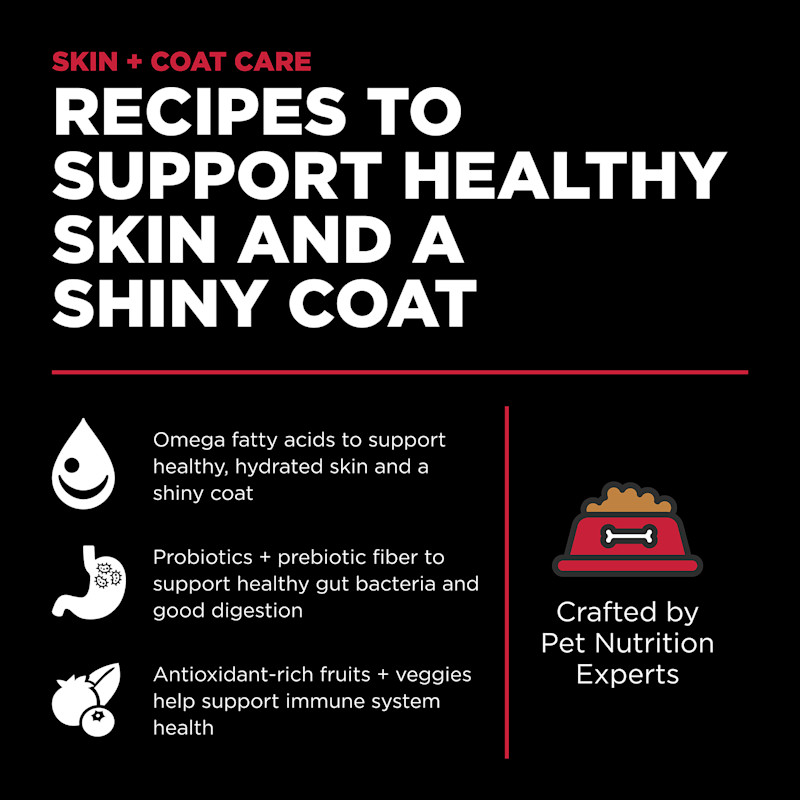 Recipes to support healthy skin and a shiny coat