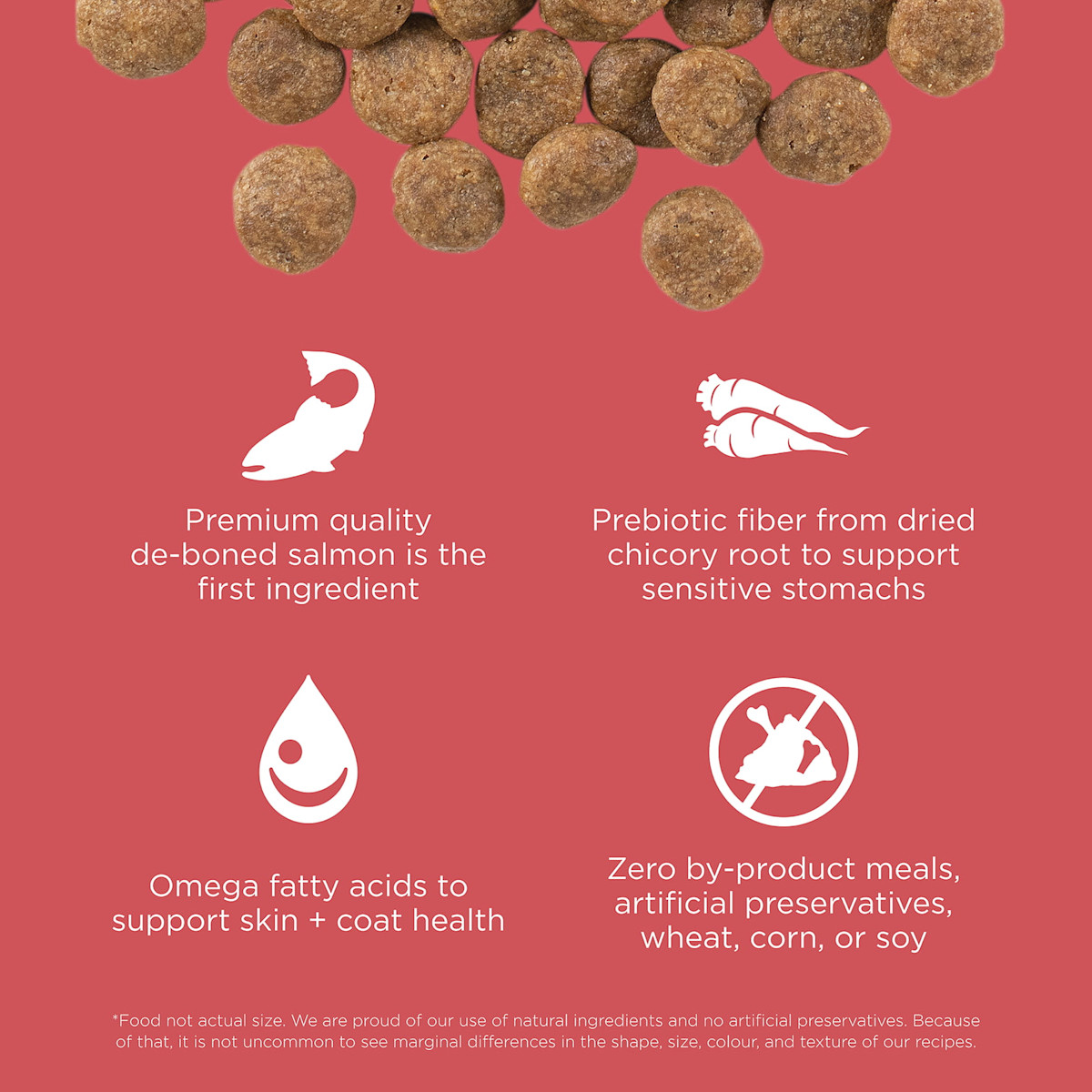 Premium-quality de-boned salmon is the first ingredient, prebiotic fiber from chicory root, omega fatty acids, and zero by-product meals