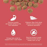 Premium-quality de-boned salmon is the first ingredient, prebiotic fiber from chicory root, omega fatty acids, and zero by-product meals