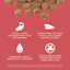 Premium-quality de-boned salmon is the first ingredient, prebiotic fiber from chicory root, omega fatty acids, and zero by-product meals