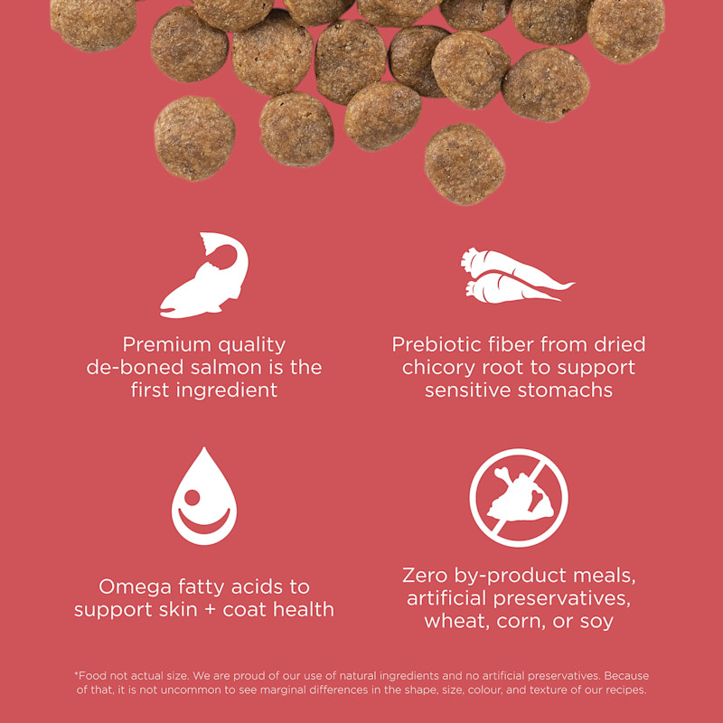 Premium-quality de-boned salmon is the first ingredient, prebiotic fiber from chicory root, omega fatty acids, and zero by-product meals