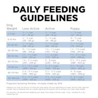 Go! Solutions Skin + Coat Care Chicken Recipe with Grains dog food feeding guidelines