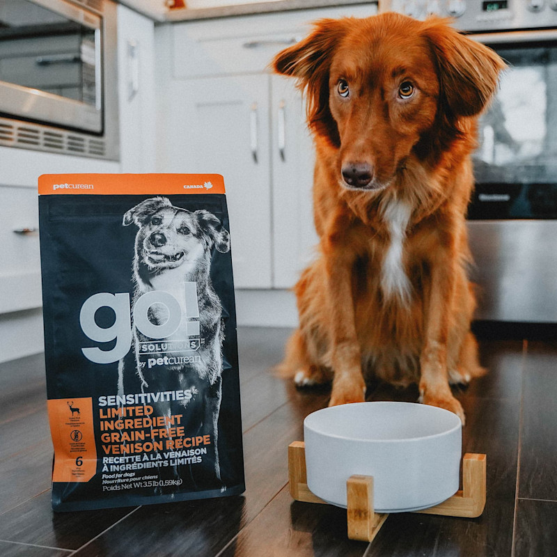 Nova Scotia Duck Tolling Retriever with bowl sitting beside bag of GO! SOLUTIONS 