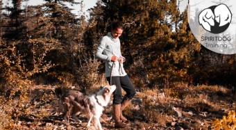 Woman walking a dog on trail