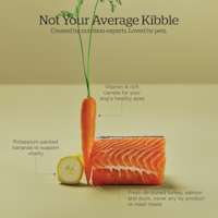 Created by nutrition experts and loved by pets