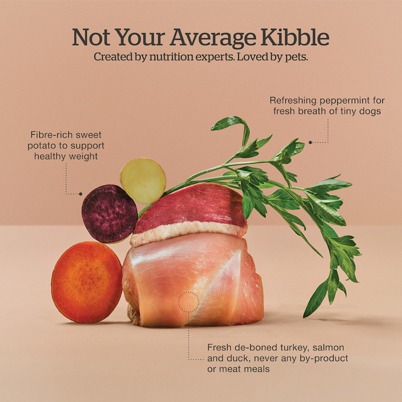 Created by nutrition experts and loved by pets
