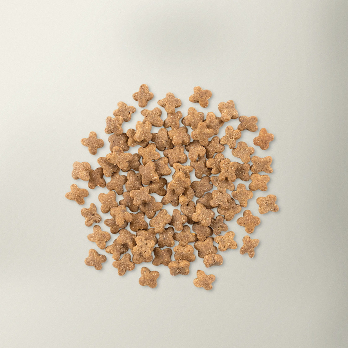 Now Fresh small breed dog food kibble